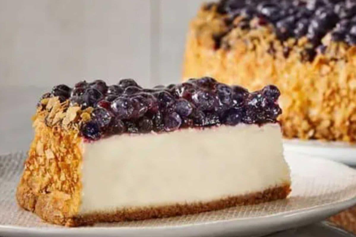 Gâteau fromage bleuets / Slice of Blueberry Cheesecake