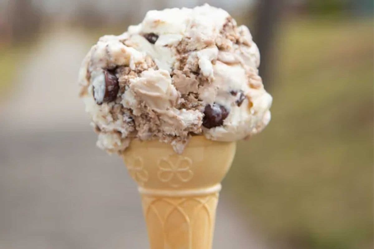 1 scoop of Ice Cream