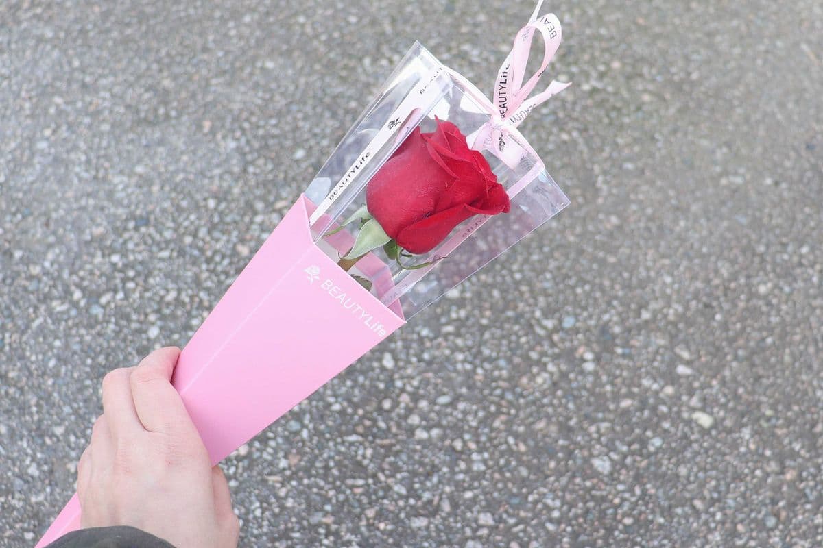 Fresh Single Rose - Red