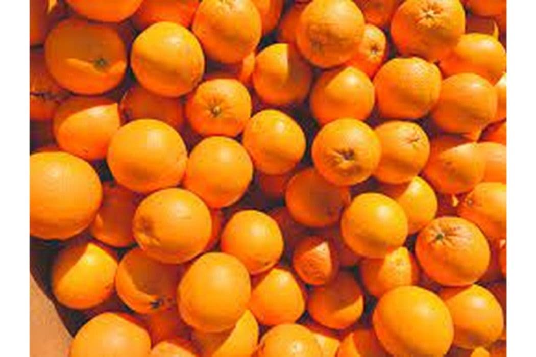 Small Navel Orange (5 pcs)