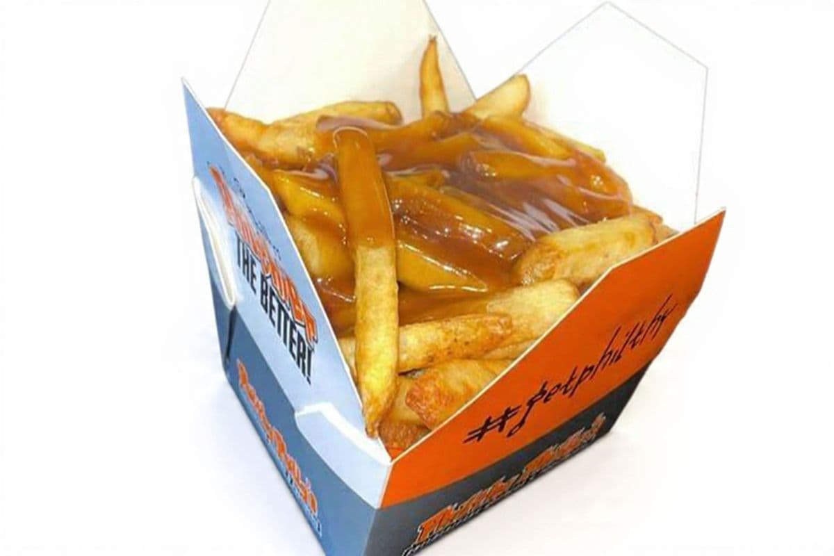Fries and Gravy