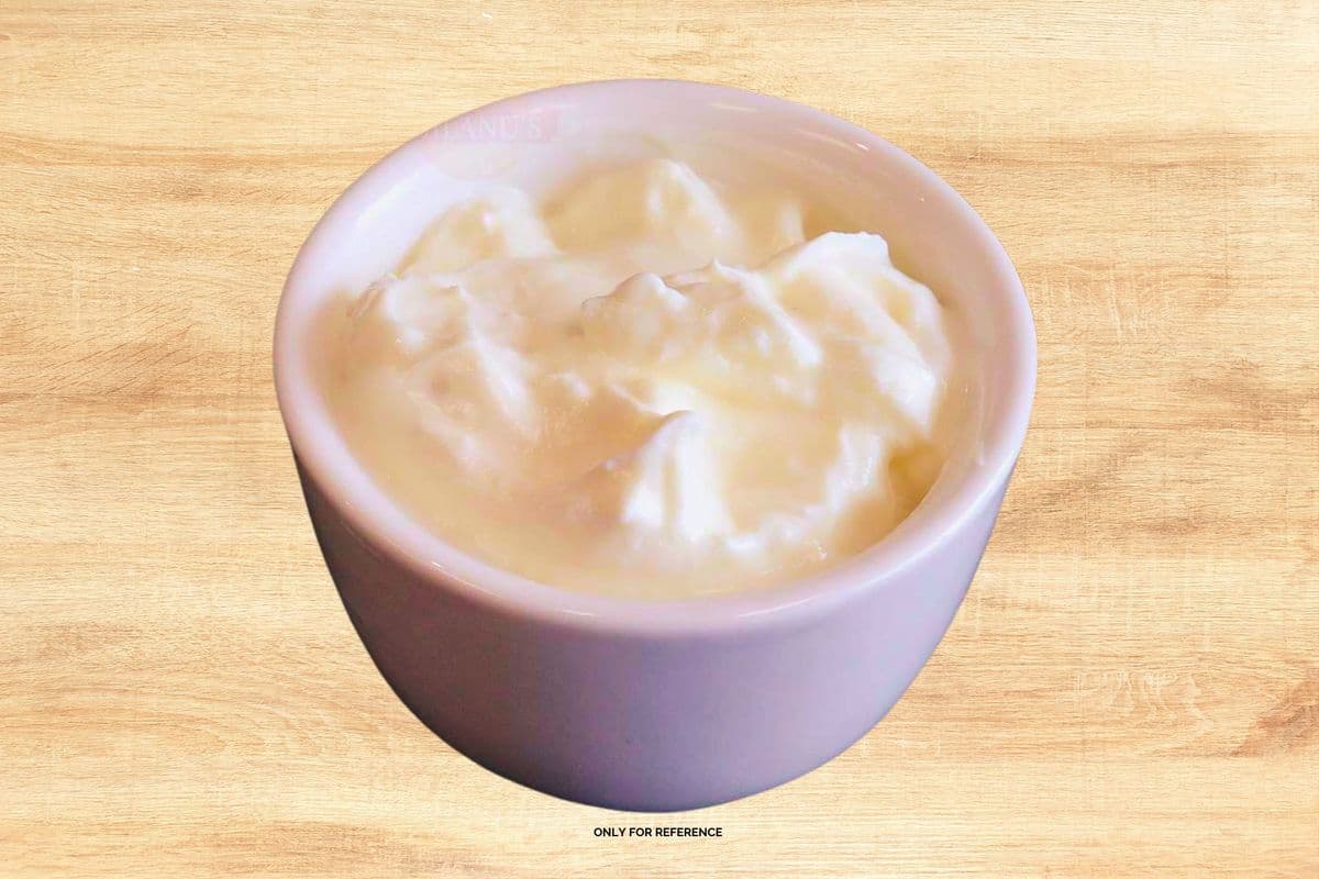 Plain Yogurt 