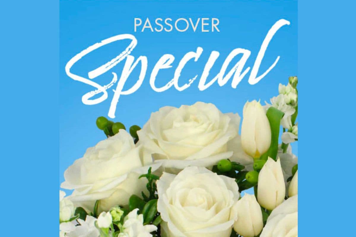 Passover Special Designer's Choice