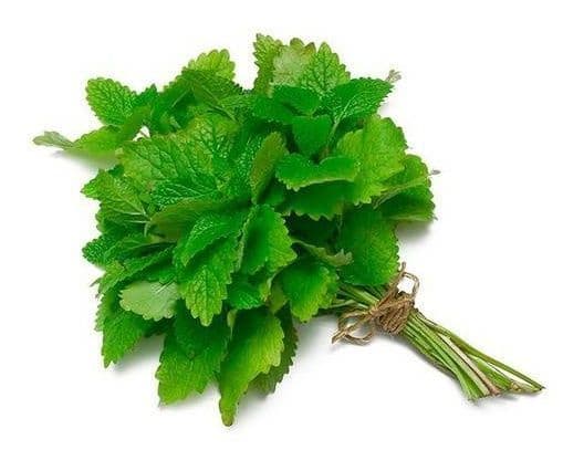 Mint (Bunch)