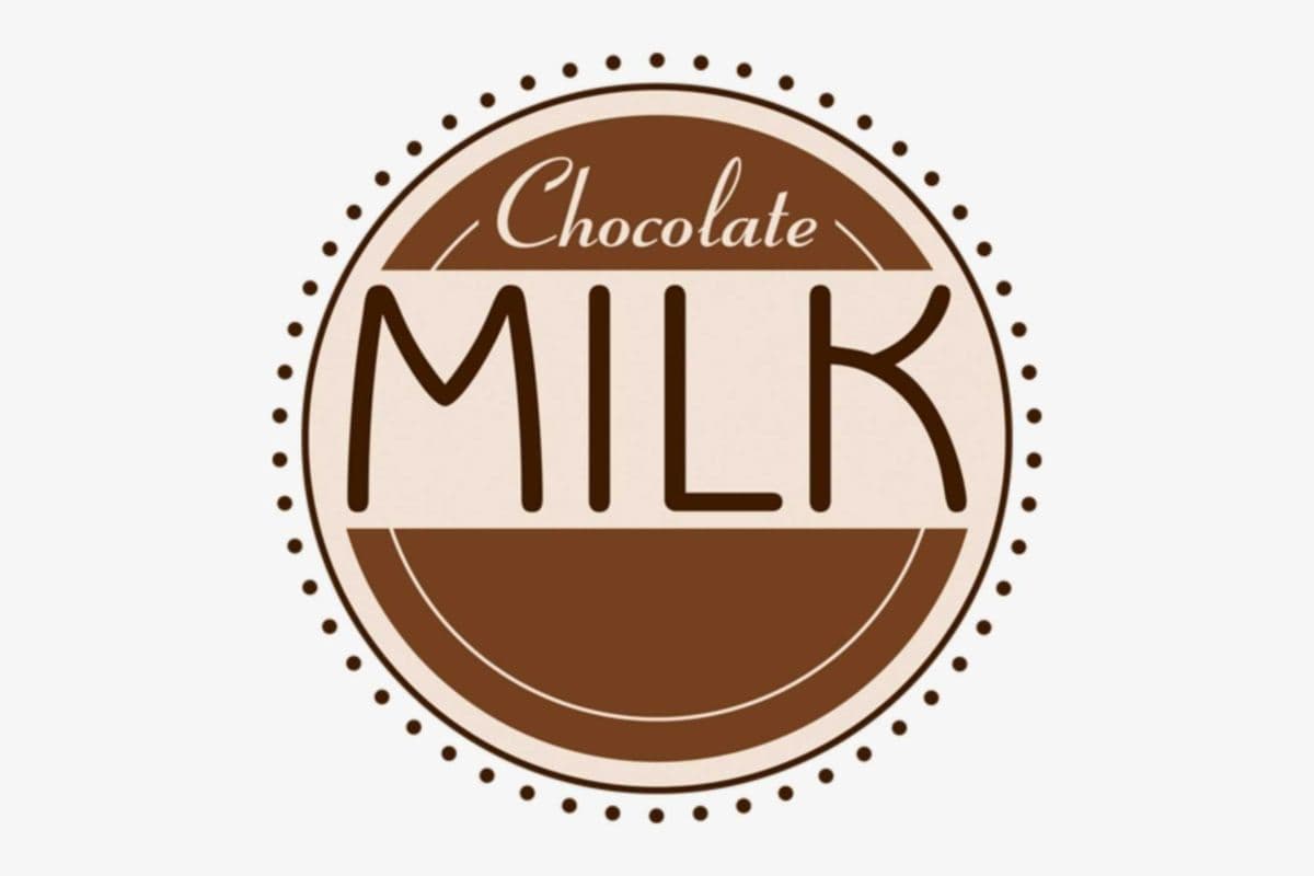 Chocolate Milk (473 ml)