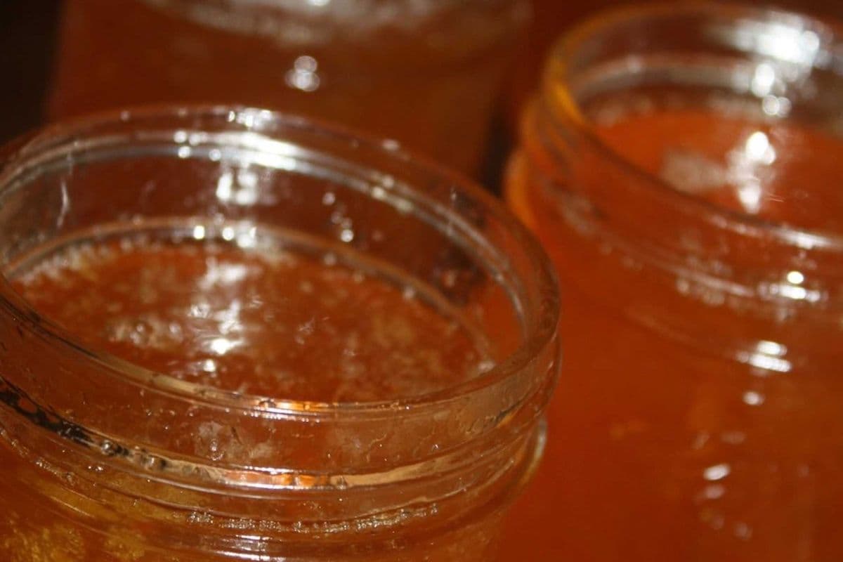 Farrelly's Famous Traditional Irish Marmalade 8 oz Jar (8oz jar)