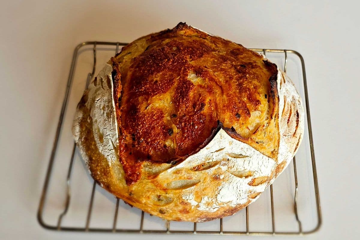 Cheese & Chive Sourdough