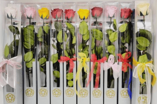 One Love Preserved Rose (One Rose)