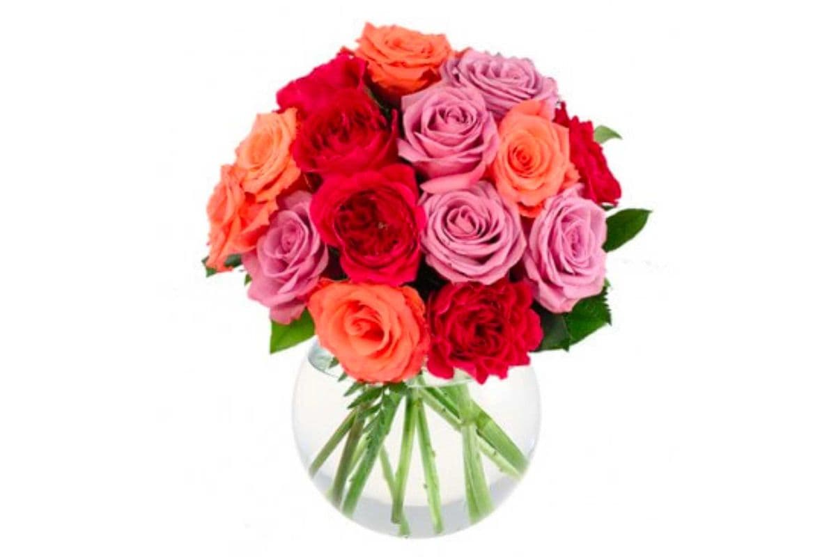 Rose Lovers
