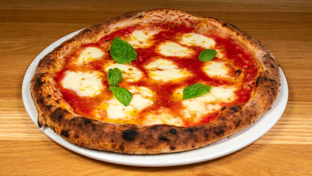 PZ Margherita