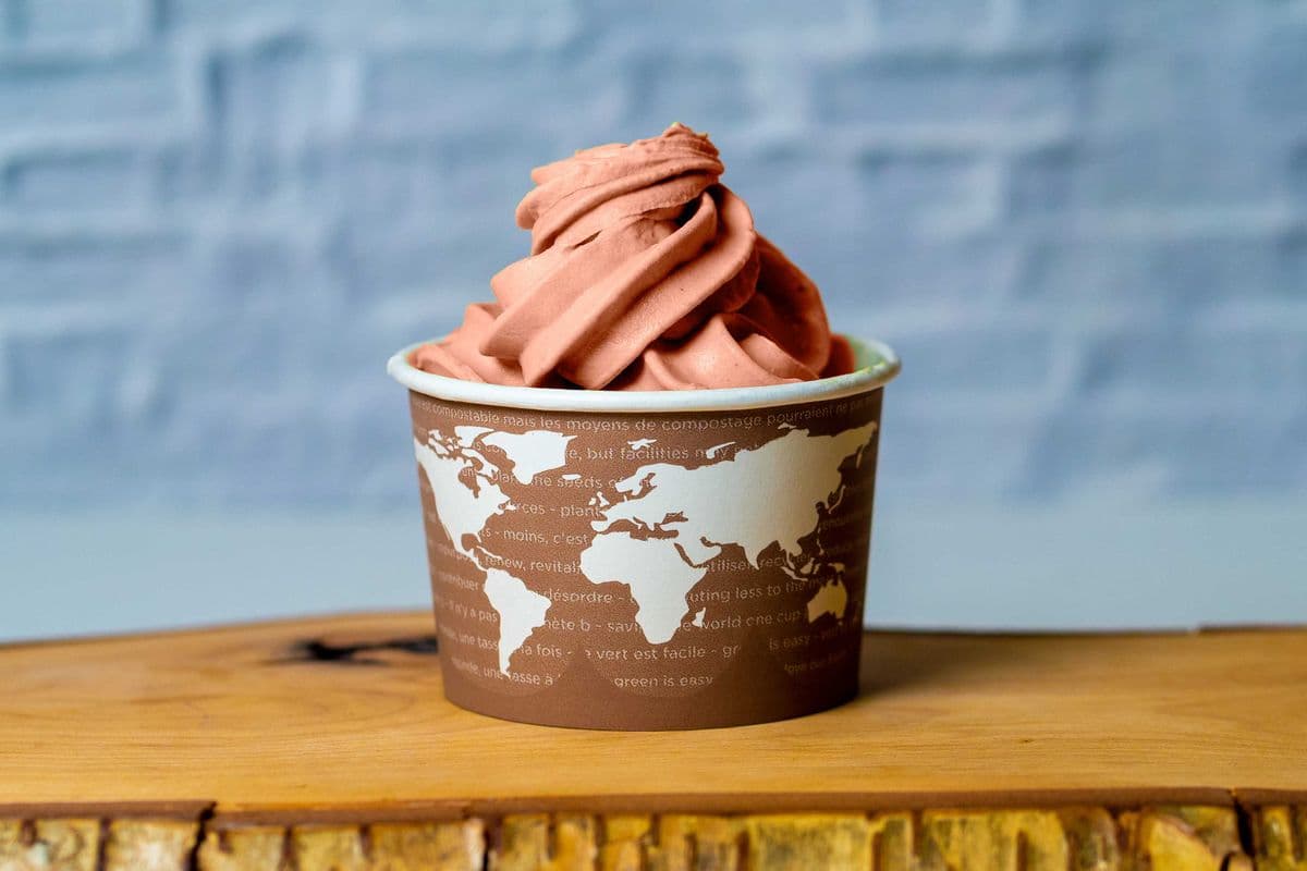 Chocolate Banana Frozen Yogurt