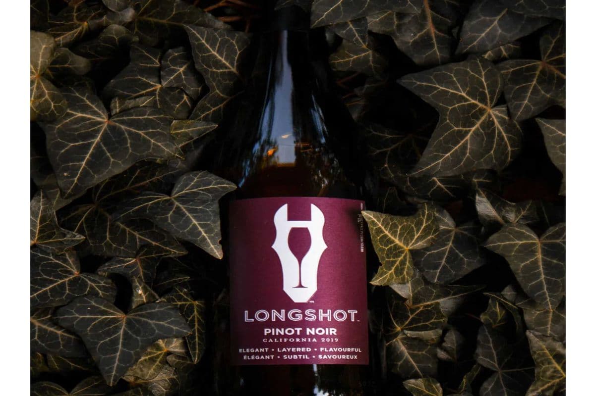 LONGSHOT PINOT NOIR 750ML (1 x 750ML )