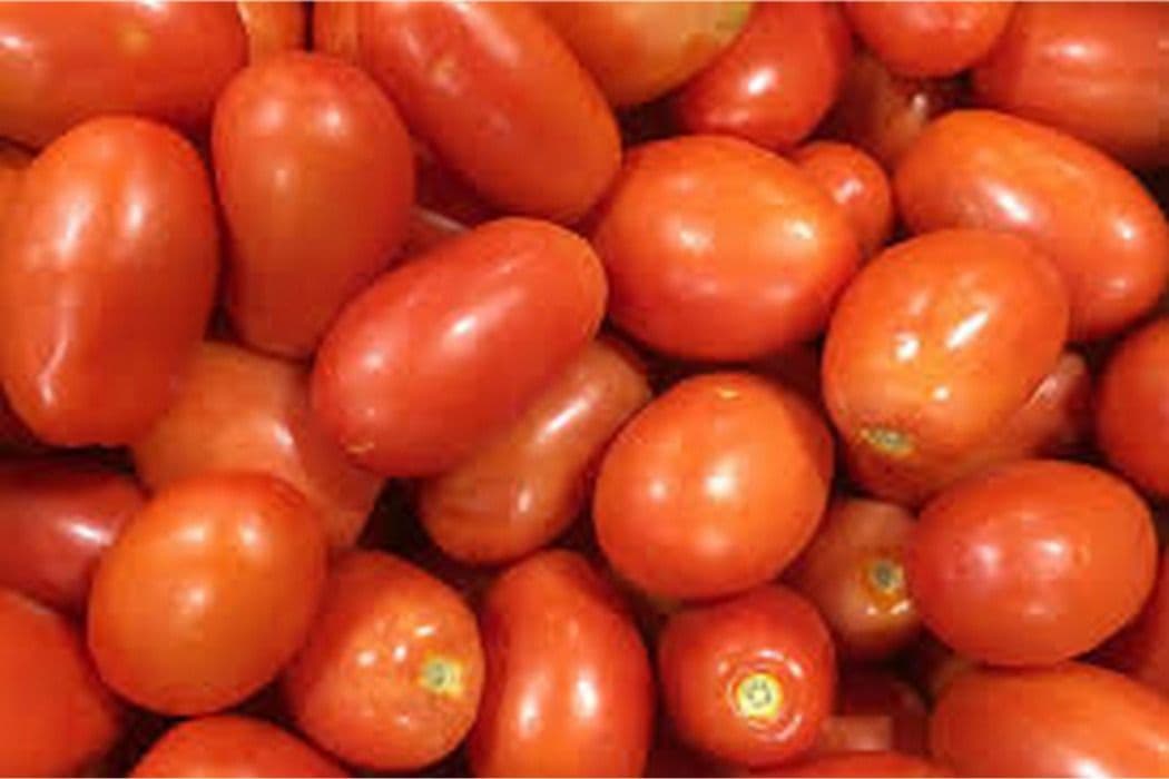 Roma Tomato (4 pcs)