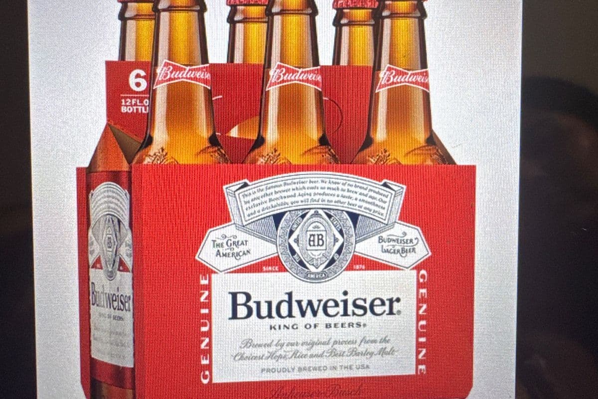 Labatt Budweiser 6PK Bottle (6 x 330 ml Bottle)