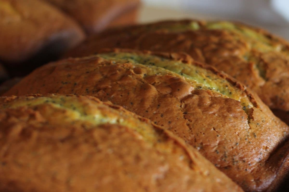 Lemon Loaves