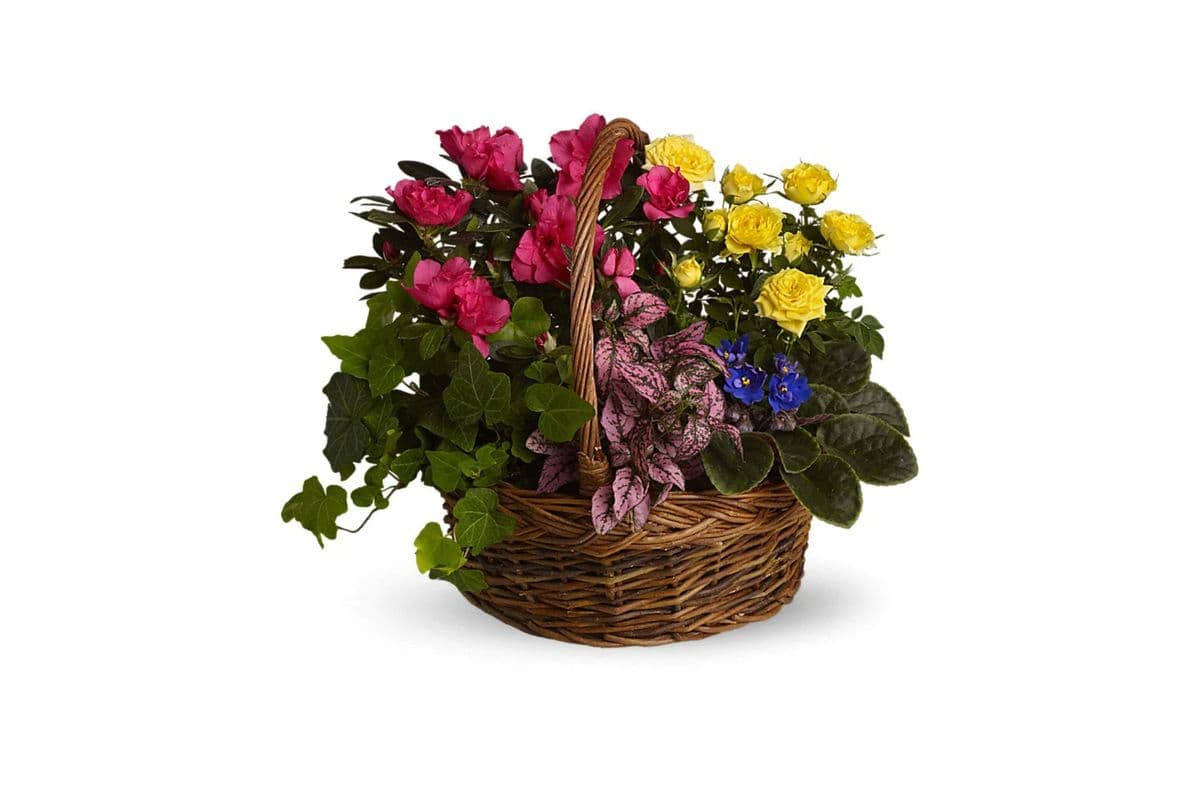 Blooming Garden Basket
