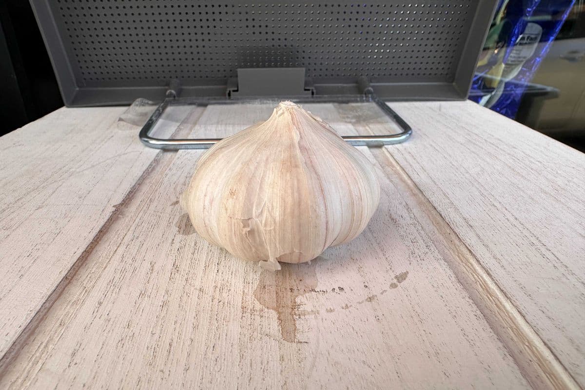 Garlic Bulb (50g)