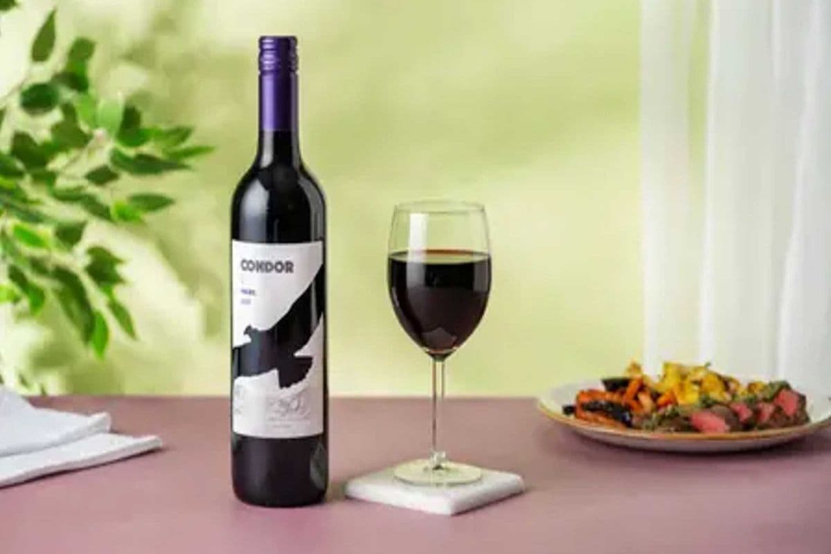 CONDOR PEAK MALBEC (1 x 750 ML)