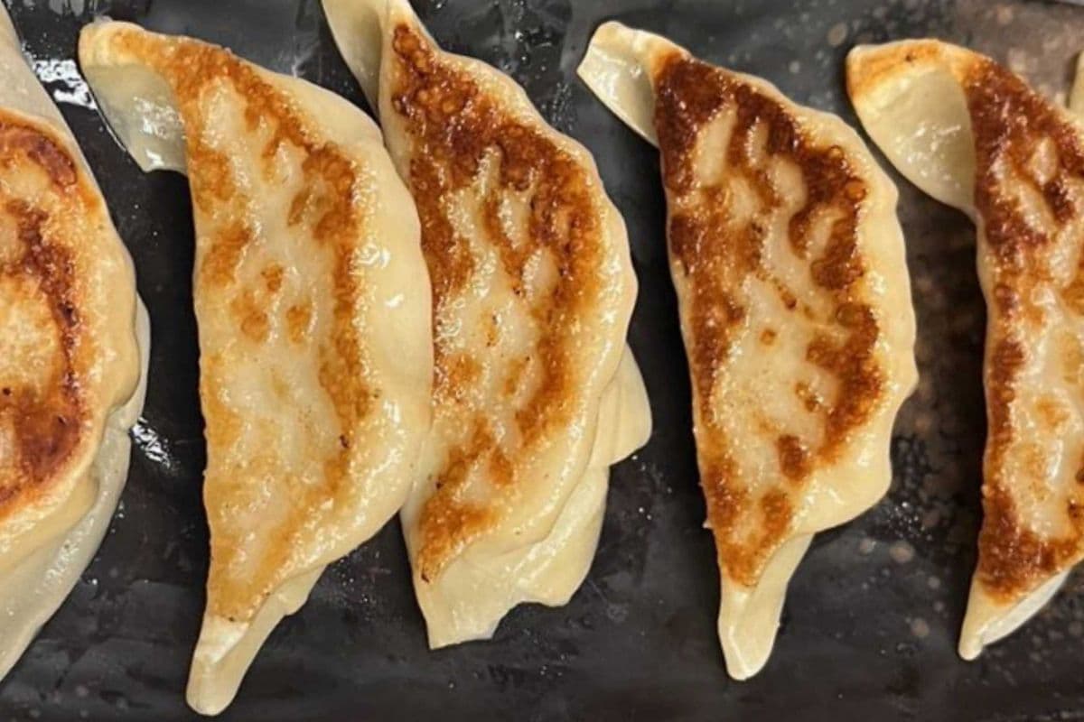 Pork Gyoza