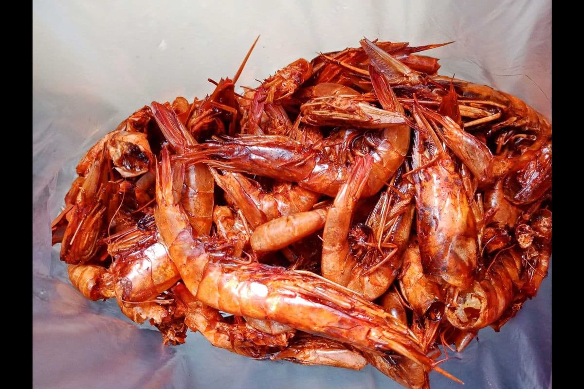 Packed Dried Red Prawn, Shrimp, and Crayfish