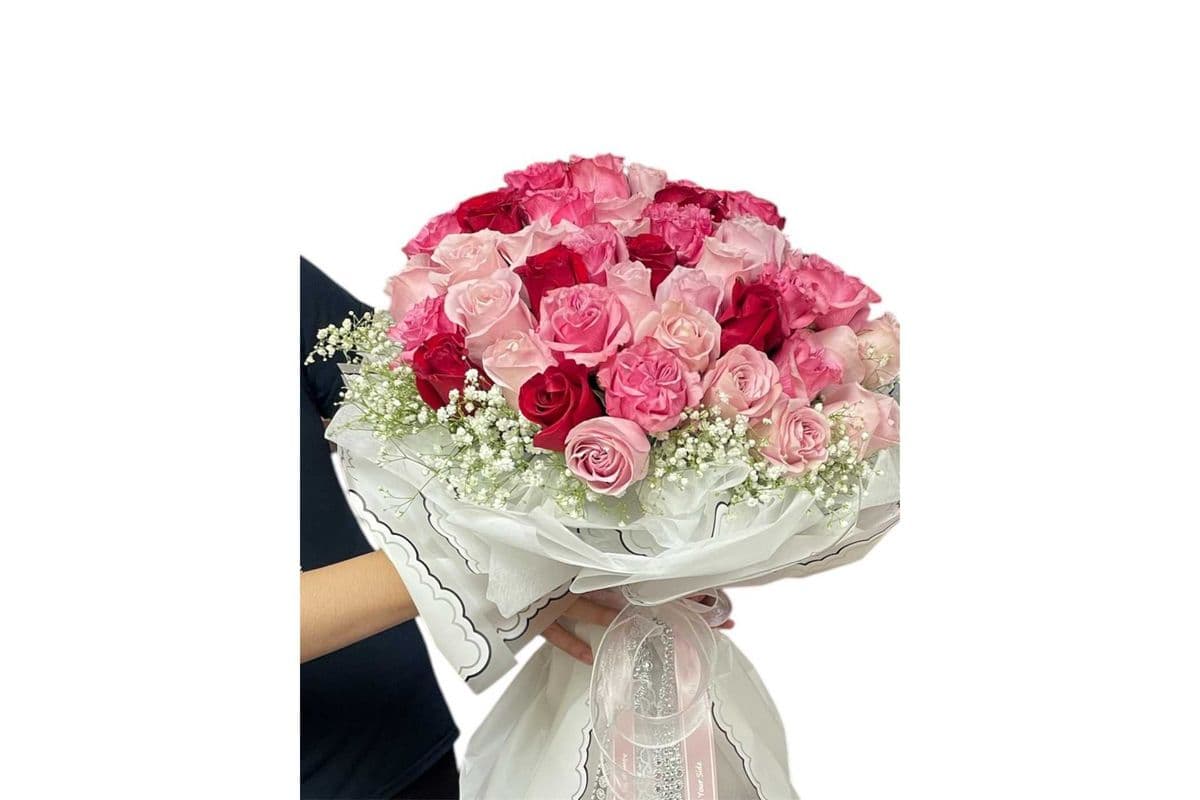 Rose Miami 12