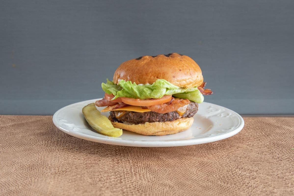 Bison Burger