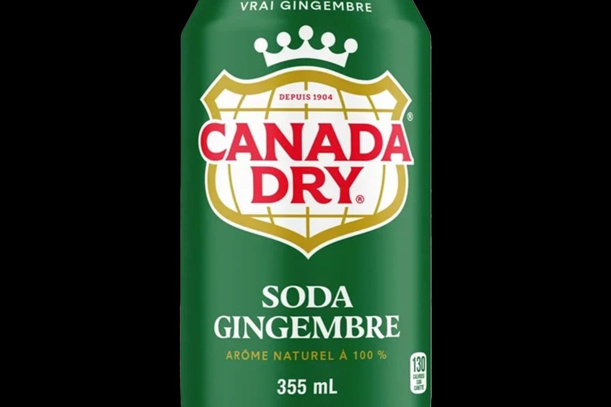 Ginger Ale (355 ml)