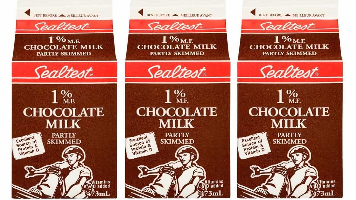 Chocolate Milk (473 ml)