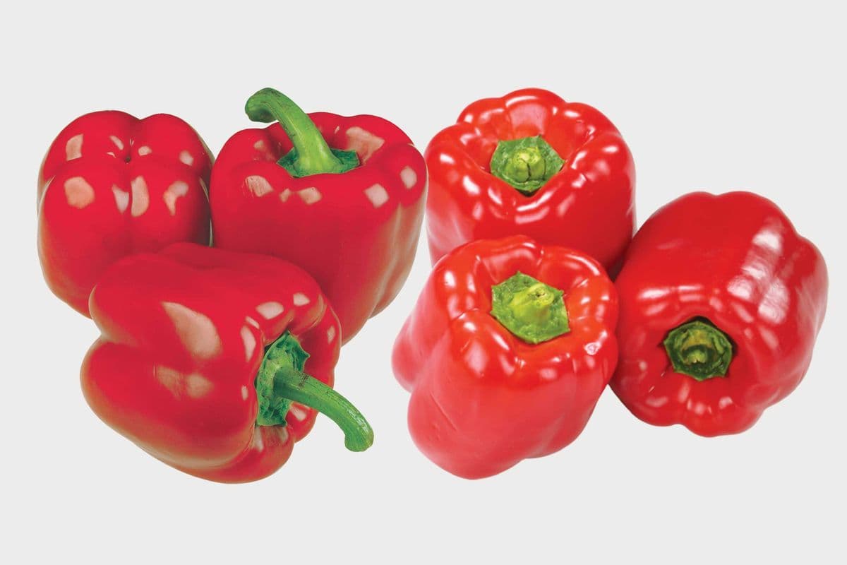 Bell Red Pepper - 1Lb