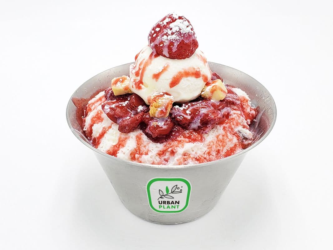 Snow Bingsu
