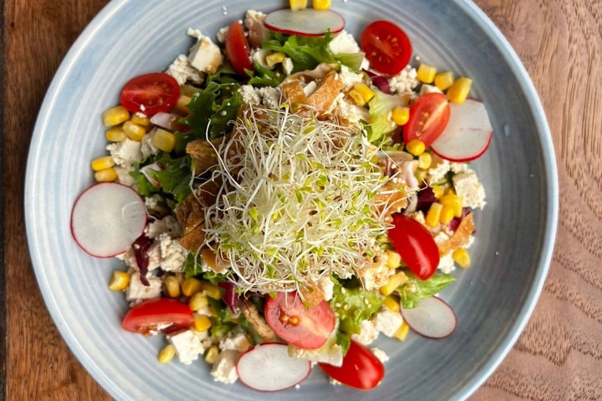 Tofu Salad