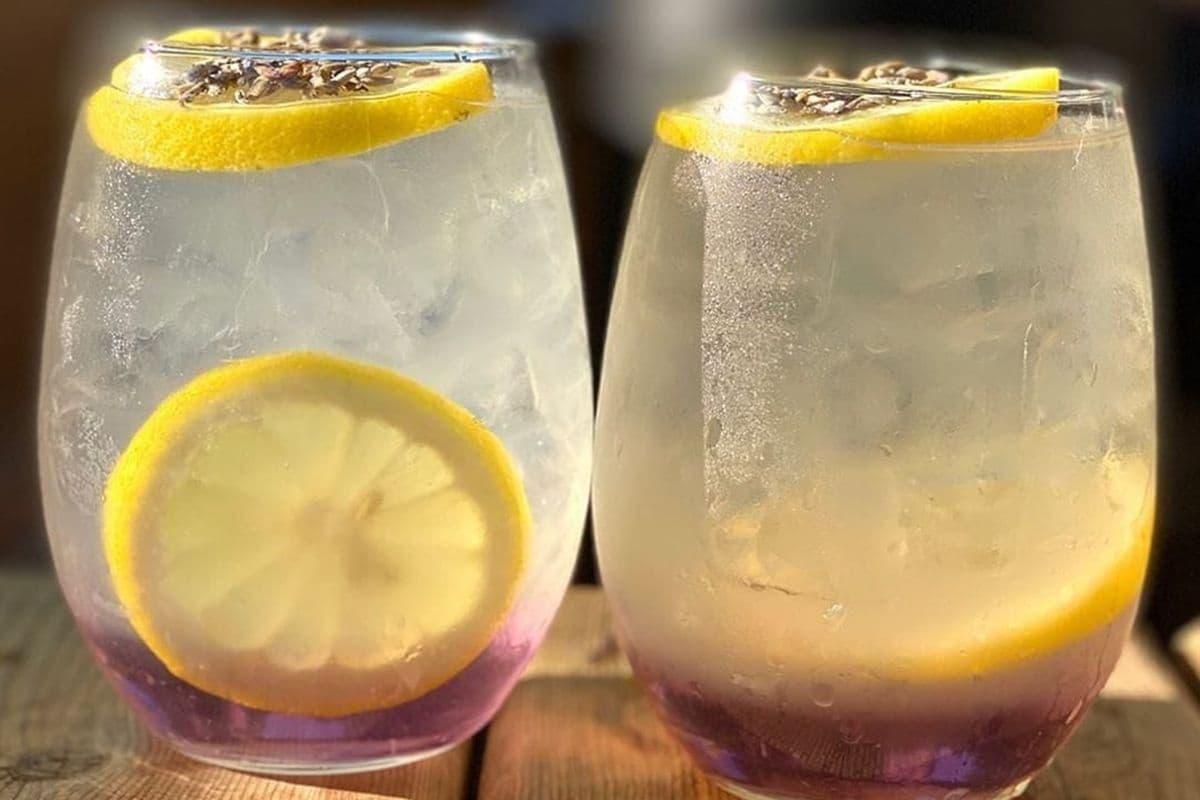 Lavender Lemonade (1 x 500 ml)