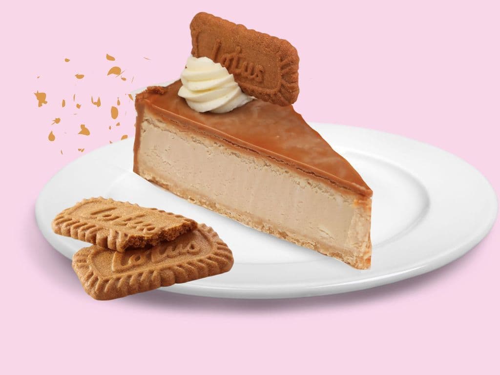 Biscoff Cheesecake Slice