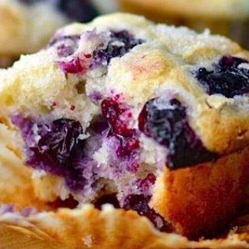Muffin bluet / Blueberry Muffin
