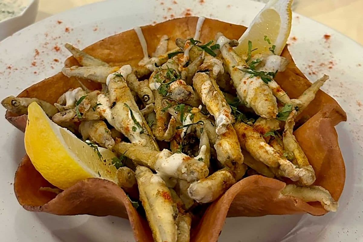 Sardines