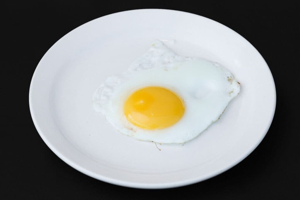 Egg