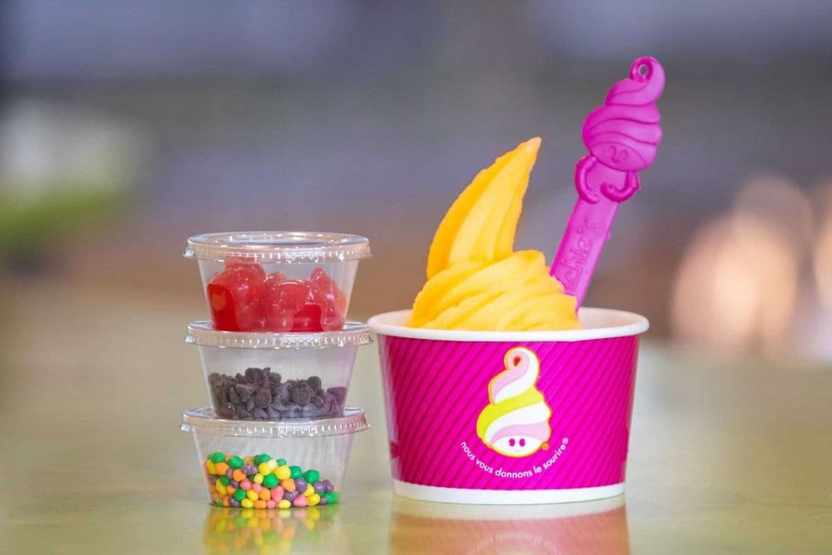 Create your own Frozen Yogurt (8oz)
