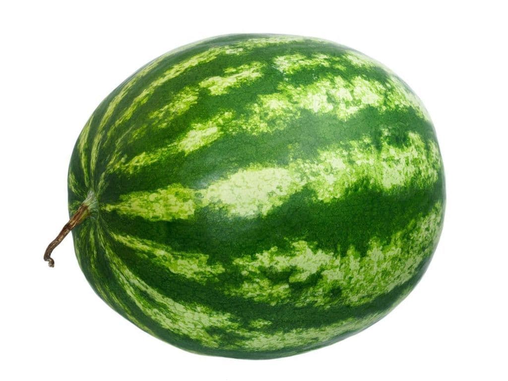 Watermelon (Large)