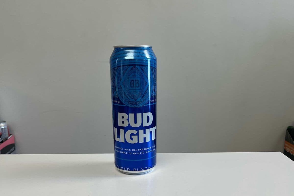 Bud Light Can (1 x 740ml)