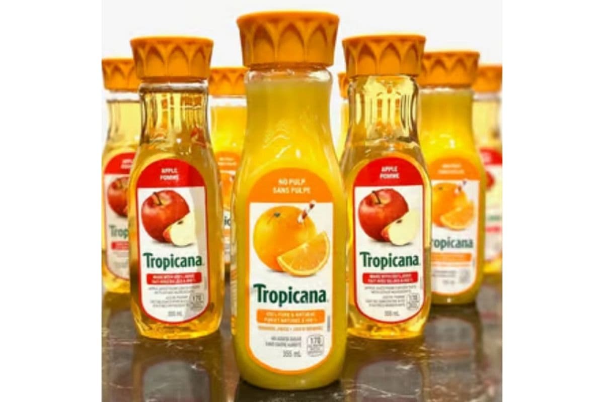 Orange Oasis