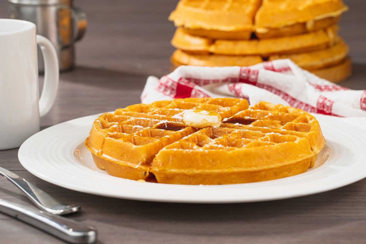 Plant Based Belgian Waffle