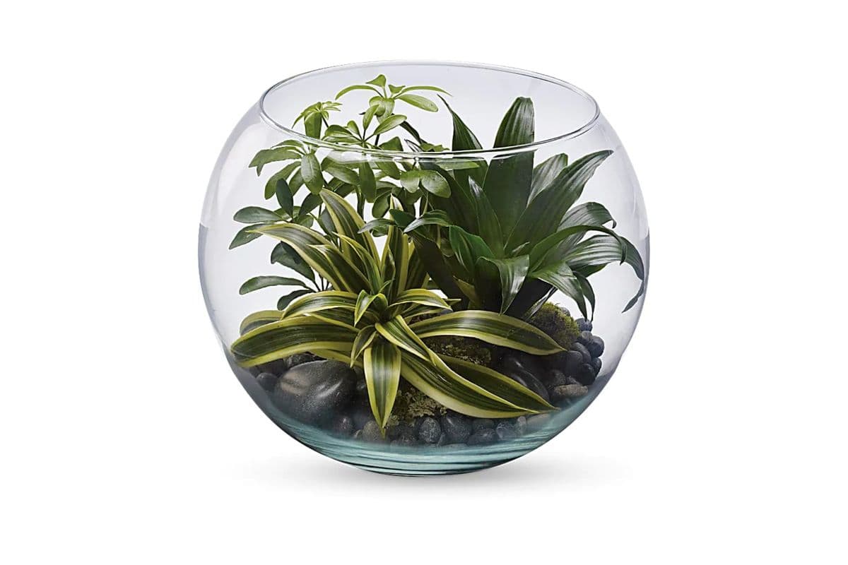 Sphere of Tranquility Terrarium