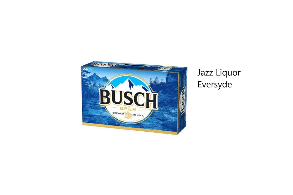 BUSCH CANS (1 x 24×355ML )