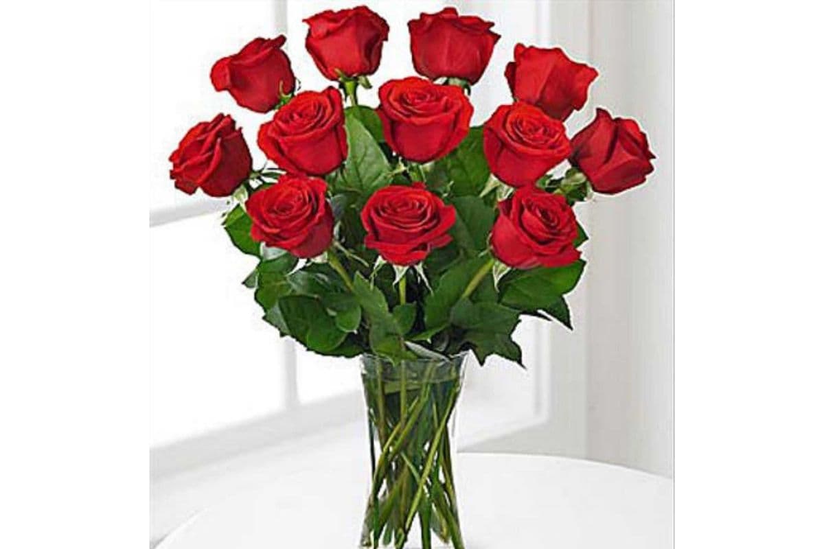 12 Red roses in a vase