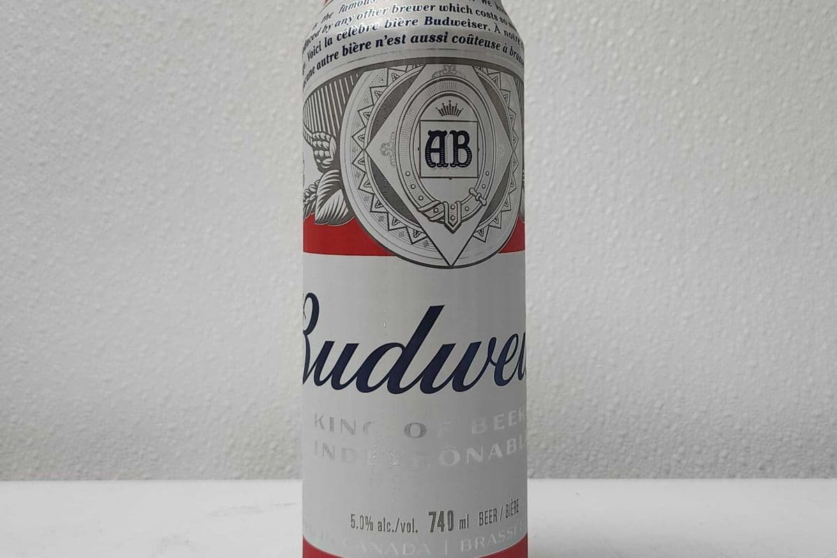 Budweiser (1 x 710 ml Tall Can)