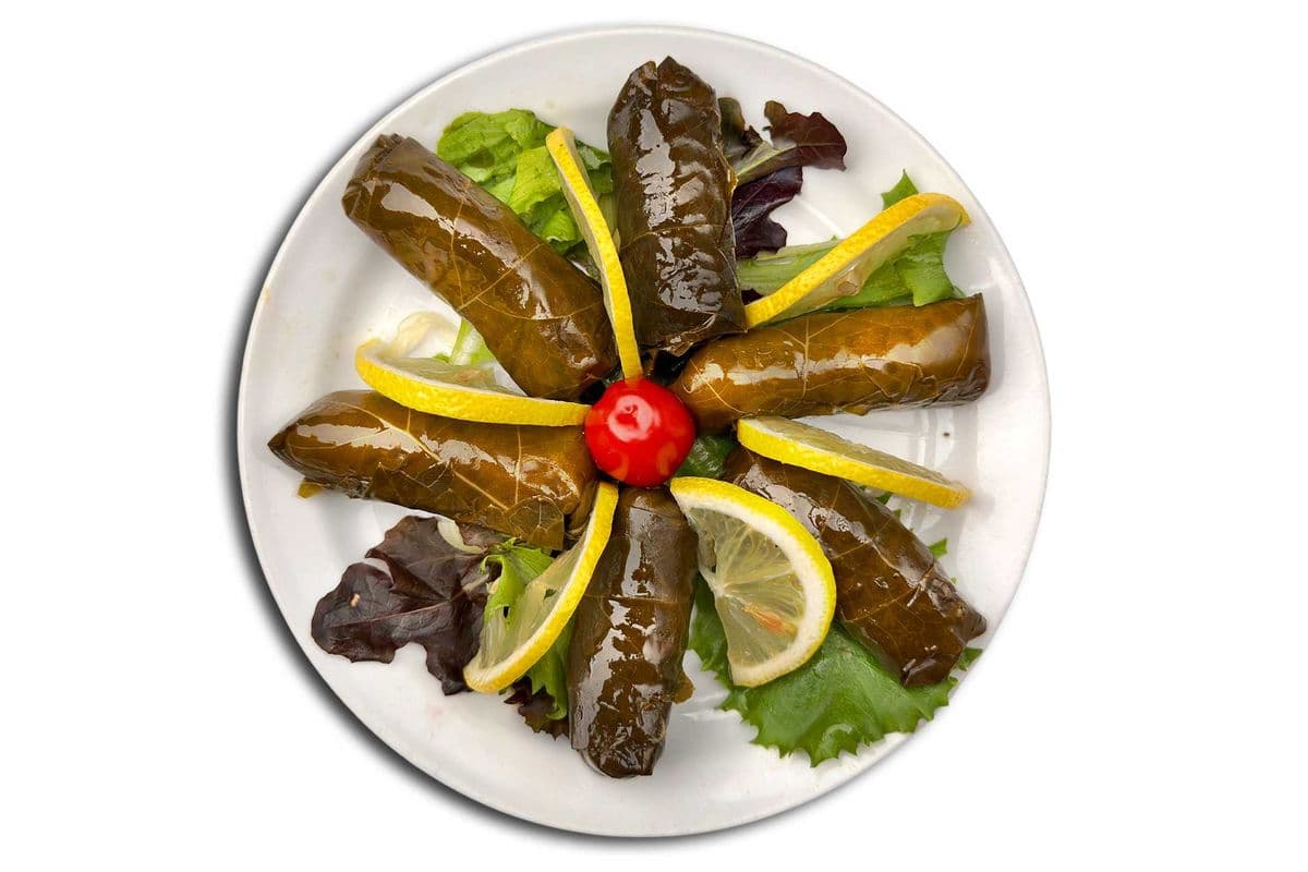 DOLMA