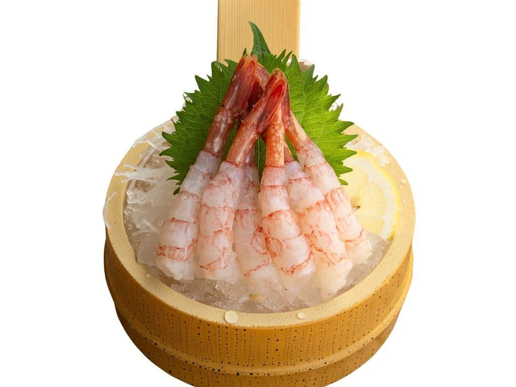 Amaebi Sashimi
