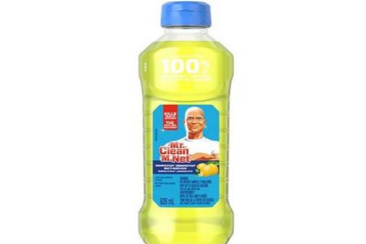 M. Net / Mr. Clean (828 ml)