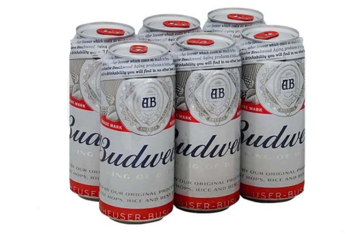 Budweiser - 6 Cans (6 x 355 ml Can)
