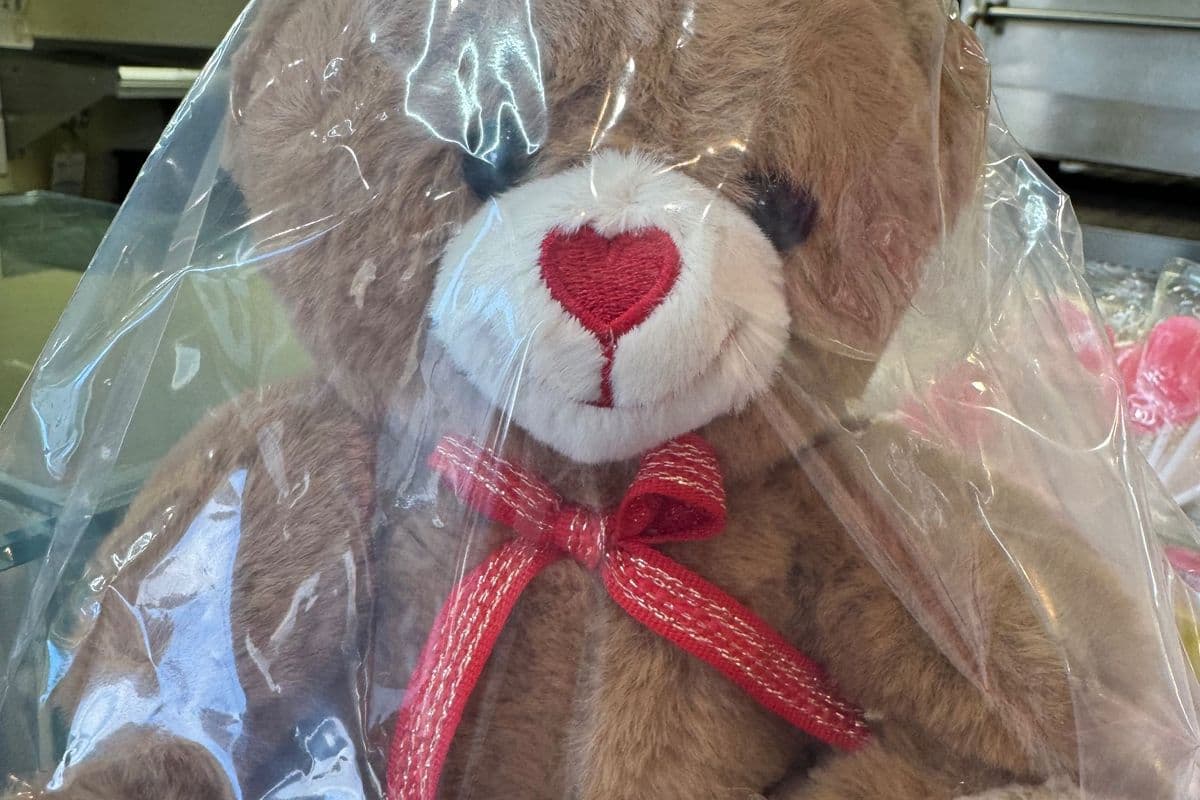 Teddy
